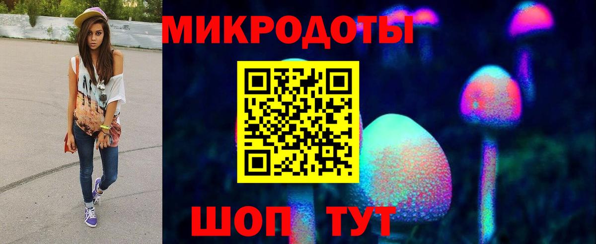 Псилоцибиновые грибы GOLDEN TEACHER Петрозаводск